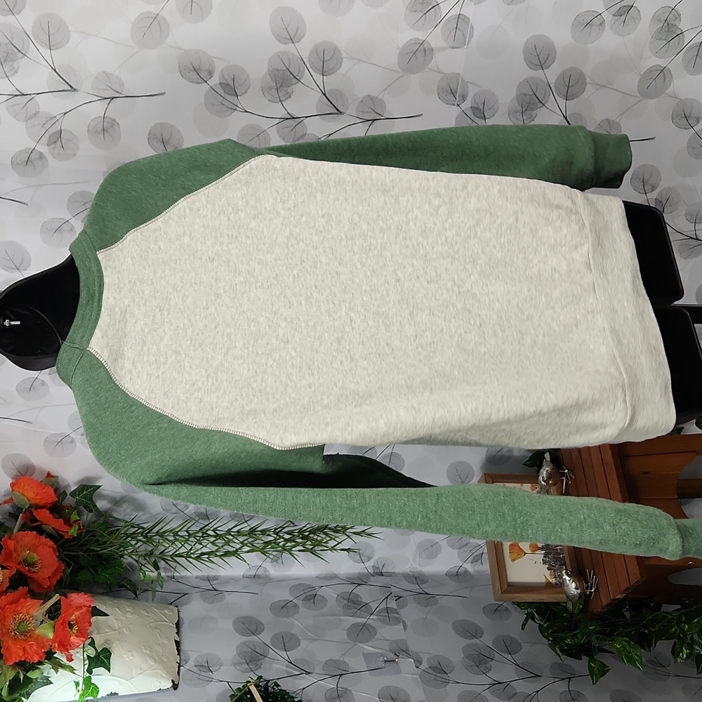 Alternative Earth Twitch Graphic Raglan Sweatshirt Gray - Small - Picture 7 of 11